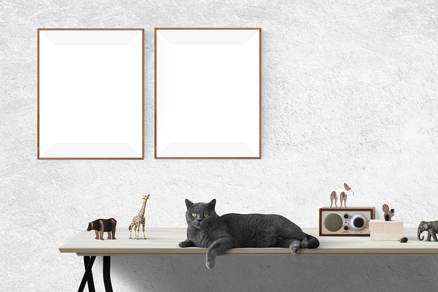 Alles wat je moet weten over fotolijstjes: soorten, materialen, decoratie en onderhoud